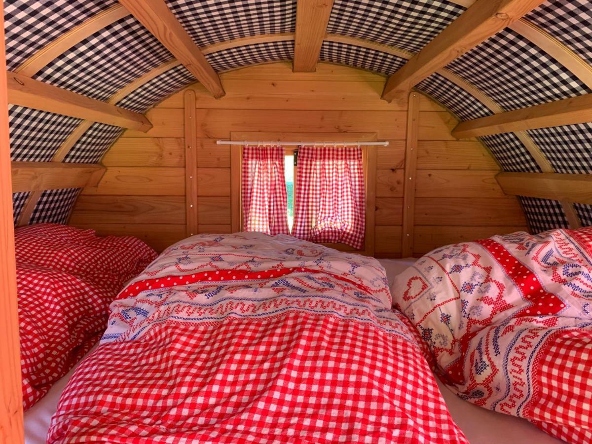 #Glamping@De Verloren Sinjoor Bladel Exterior foto
